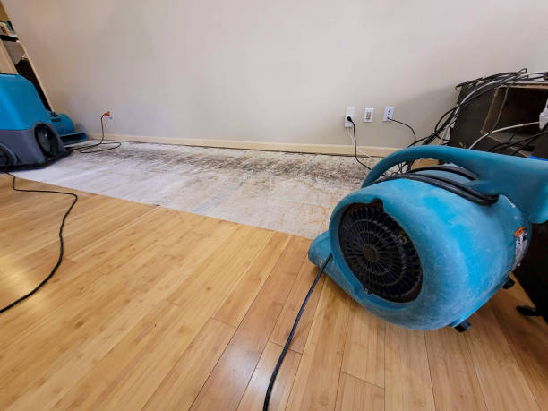 Professional Sewage Cleanup technician working in Nobleboro, ME
